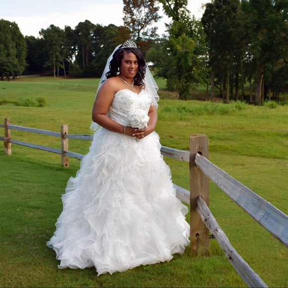 Davids Bridal Wedding Gown - Picture 5 of 6
